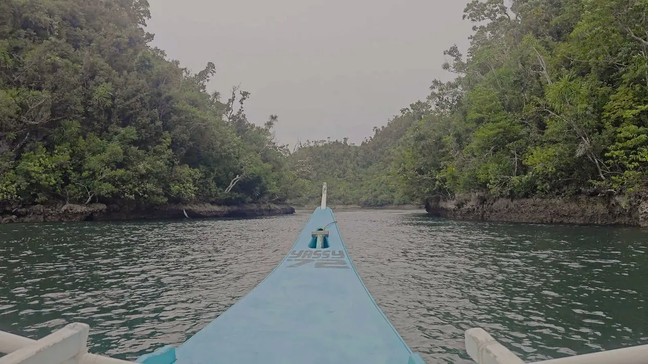 Boat ride through the mangrove forest channels