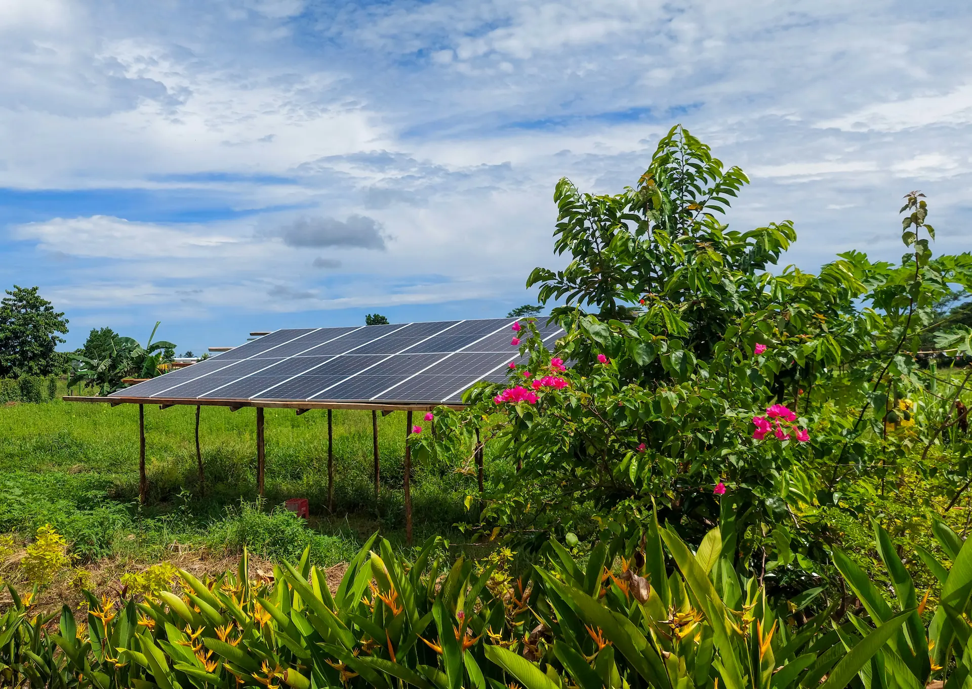 Solar panels powering Mariden Resort Siargao - eco-friendly sustainable energy system in Del Carmen