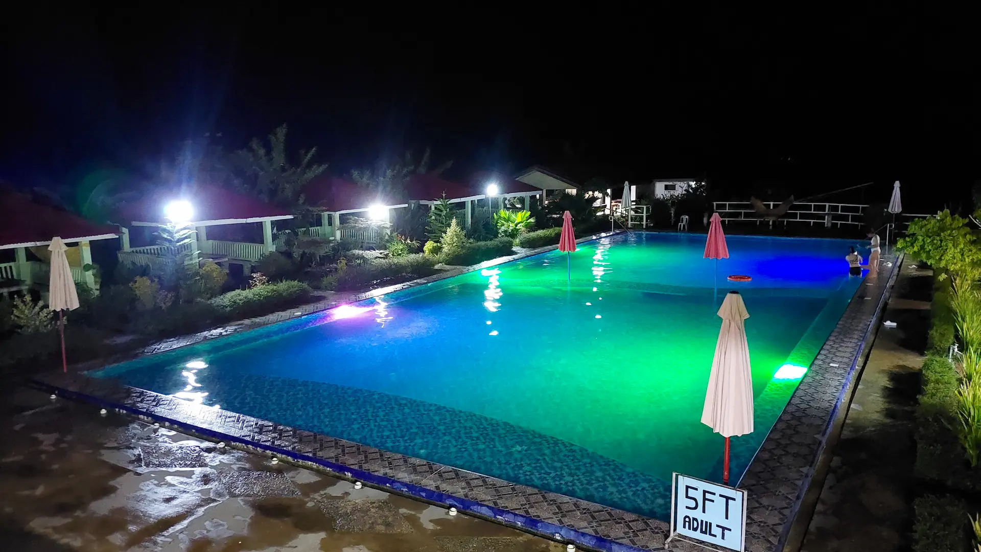 Friendly dog at Mariden Resort - pet-friendly accommodation in Siargao Del Carmen